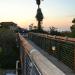 The Wishing Bridge in Tel Aviv-Yafo city