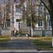 Школа № 9 в городе Дружковка