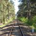 Tory (pl) in Hel city