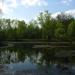 Raduzhnye Ponds