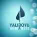 Yalıboyu Mimarlık in Amasya city