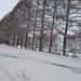 Стадион колледжа в городе Коломна