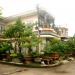 Bonsai Cây cảnh: Cổ Mai Hoa - Lê Thạnh trong Thành Phố Tam Kỳ thành phố