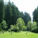 Redwood Park in Arcata, California city