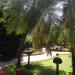 Lotus Resorts 3* in Benaulim city