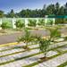 La Filipina Public Cemetery in Tagum city