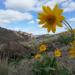 Succor Creek State Park