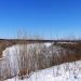 Бугор, заросший облепихой (уничтожен) в городе Щёлково