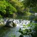 Cheonjiyeon Pokpo (Cheonjiyeon Waterfall)