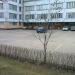 Автостоянка в городе Москва