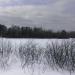 Утиные острова в городе Москва