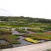 Garden-husbandry Školky - Montano, Ltd.