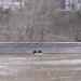 Устье неизвестного коллектора в городе Москва