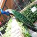 Folsom City Zoo in Folsom, California city