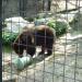 Folsom City Zoo in Folsom, California city