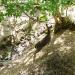 Folsom City Zoo in Folsom, California city
