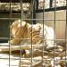 Folsom City Zoo in Folsom, California city