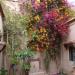 Dar Caroub (fr) in Taroudant city