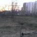 Старые поля фильтрации в городе Москва