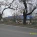 Детский сад № 78 в городе Владивосток
