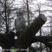 Символические ворота в Измайловский парк в городе Москва