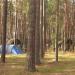 Camping Gołuń