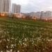 Строительная площадка храма Архистратига Михаила в городе Москва