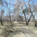 Районный Дворец культуры в городе Краснокамск