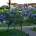 Rocca Nettuno Garden