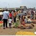 గుడి మల్కాపూర్ (Gudi Malkapur Vegetable Market)