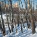 Переход через ручей в городе Москва