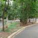 Praça Sizenando Silveira Leite  (Matinha do Bosque) na Matão city