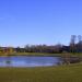 Pond in Vancouver city