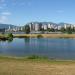 Pond in Vancouver city