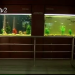 Aquarium in Hyderabad city