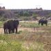 Elephant Enclosure in Hyderabad city