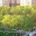 Центральный парк в городе Реутов