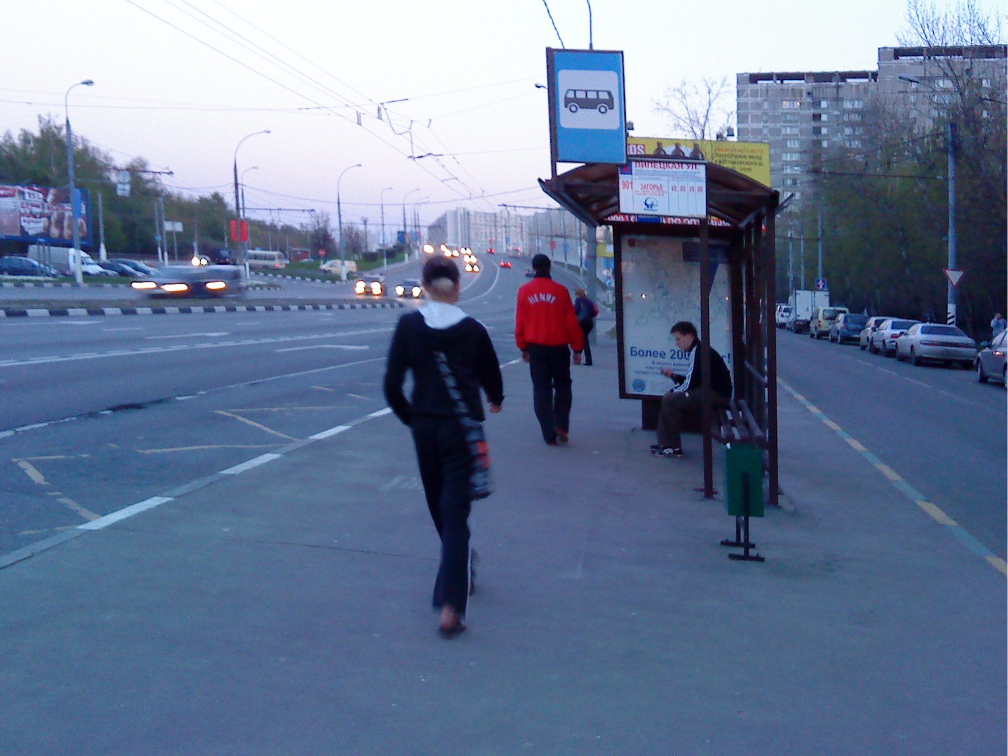 Проститутки Москва Бирюлево Западное