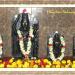 SHRI DEVI SATERI PANCHAYATAN.MANDRE,MARATHWADA