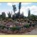 Cactus and Succulent Park Panchkula