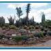 Cactus and Succulent Park Panchkula