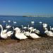Cazemata în Mangalia oraş