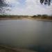 Rava Lake (તળાવ) in Village Rava, (Abdasa) Kutch, Gujarat, India ગામ રવા તાલુકો અબઙાસા city
