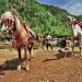 Ourika Valley