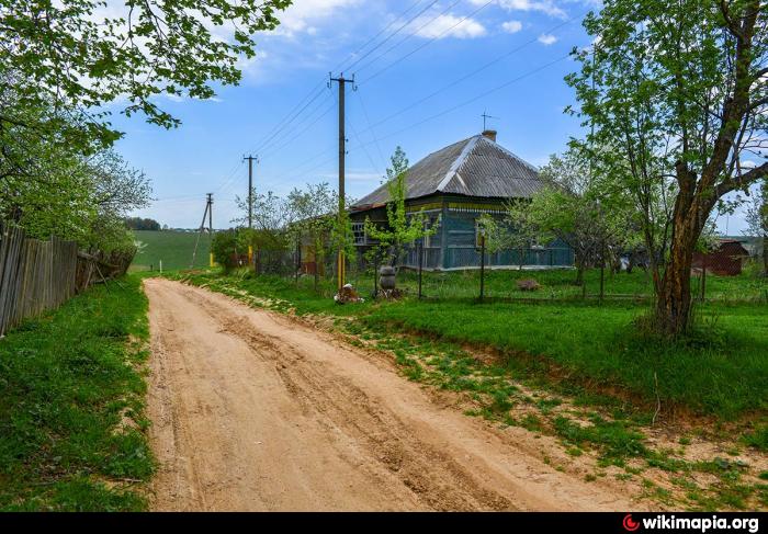 Калужская деревня фото Шемякино сельский населённый пункт