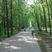 Filyovsky Forest Park