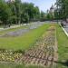 Бывший цветник в городе Москва