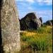 Carnac Megalithic Alignments