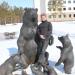 Скульптурная композиция «Медведи» в городе Когалым