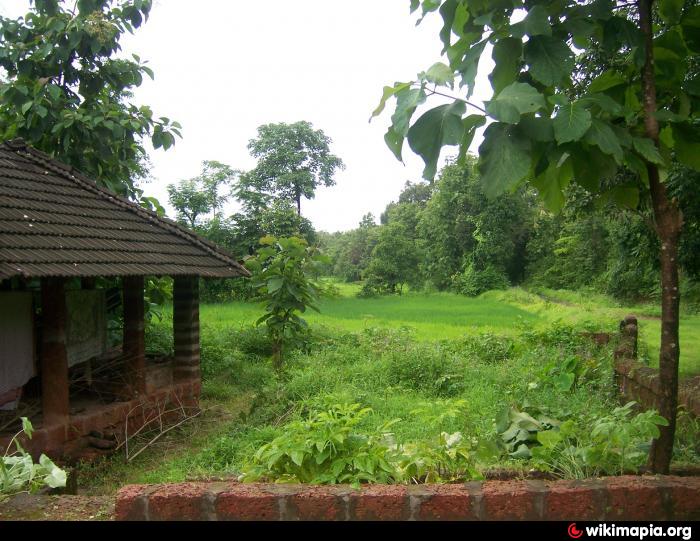chikoo wadi borivali chikoo wadi borivali
